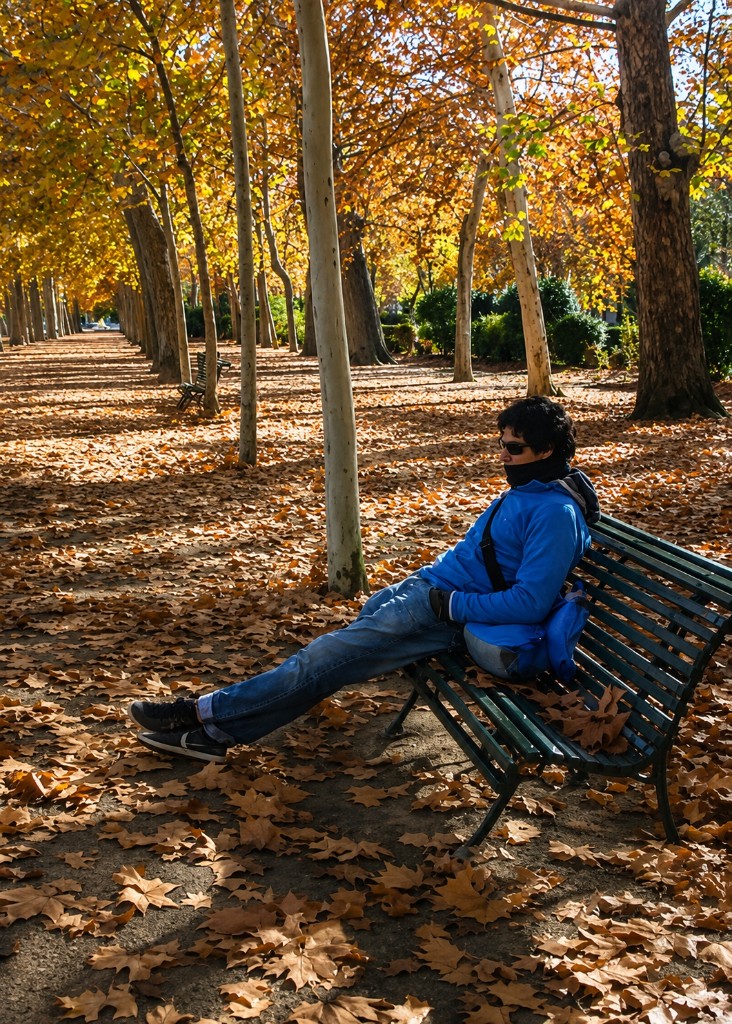 Juanes sentado en un banco, en un paseo cubierto de hojas de otoño. Aranjuez, noviembre de 2010